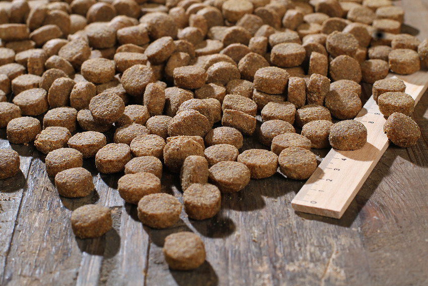 RS2904_basic_kroketten_lineal_IMG_1775b-klein-scr