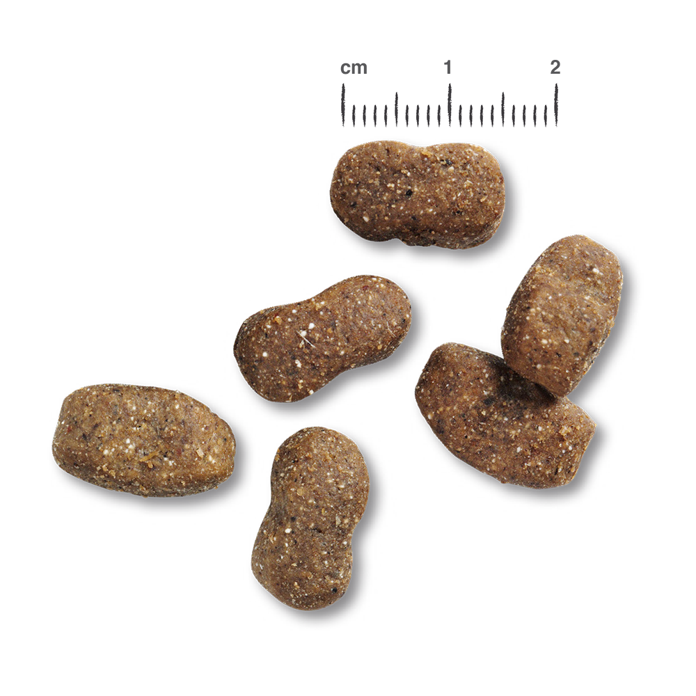 RS6145_Belcando_Kroketten_Adult_Lamb_Rice