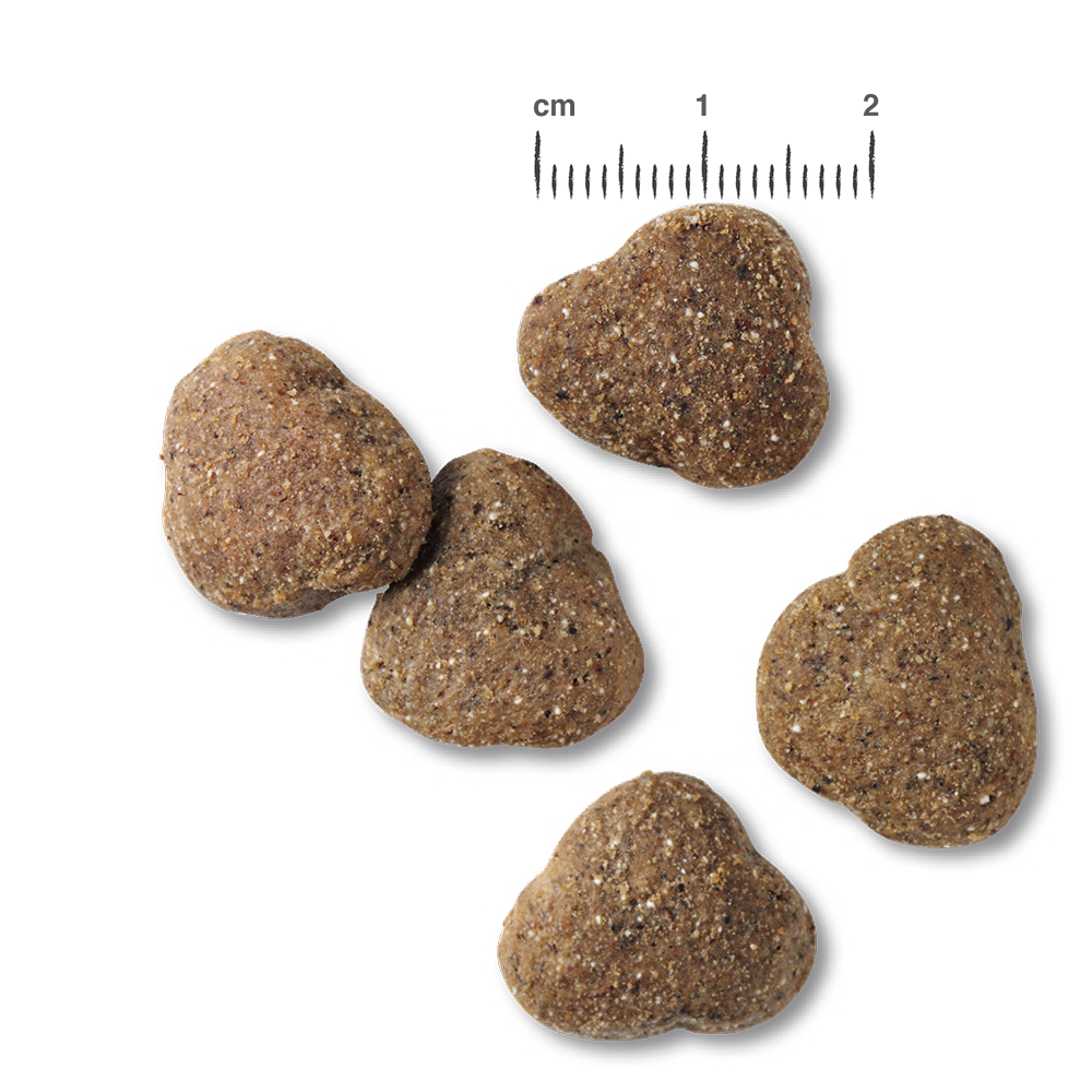 RS6150_Belcando_Kroketten_Junior_Lamb_Rice