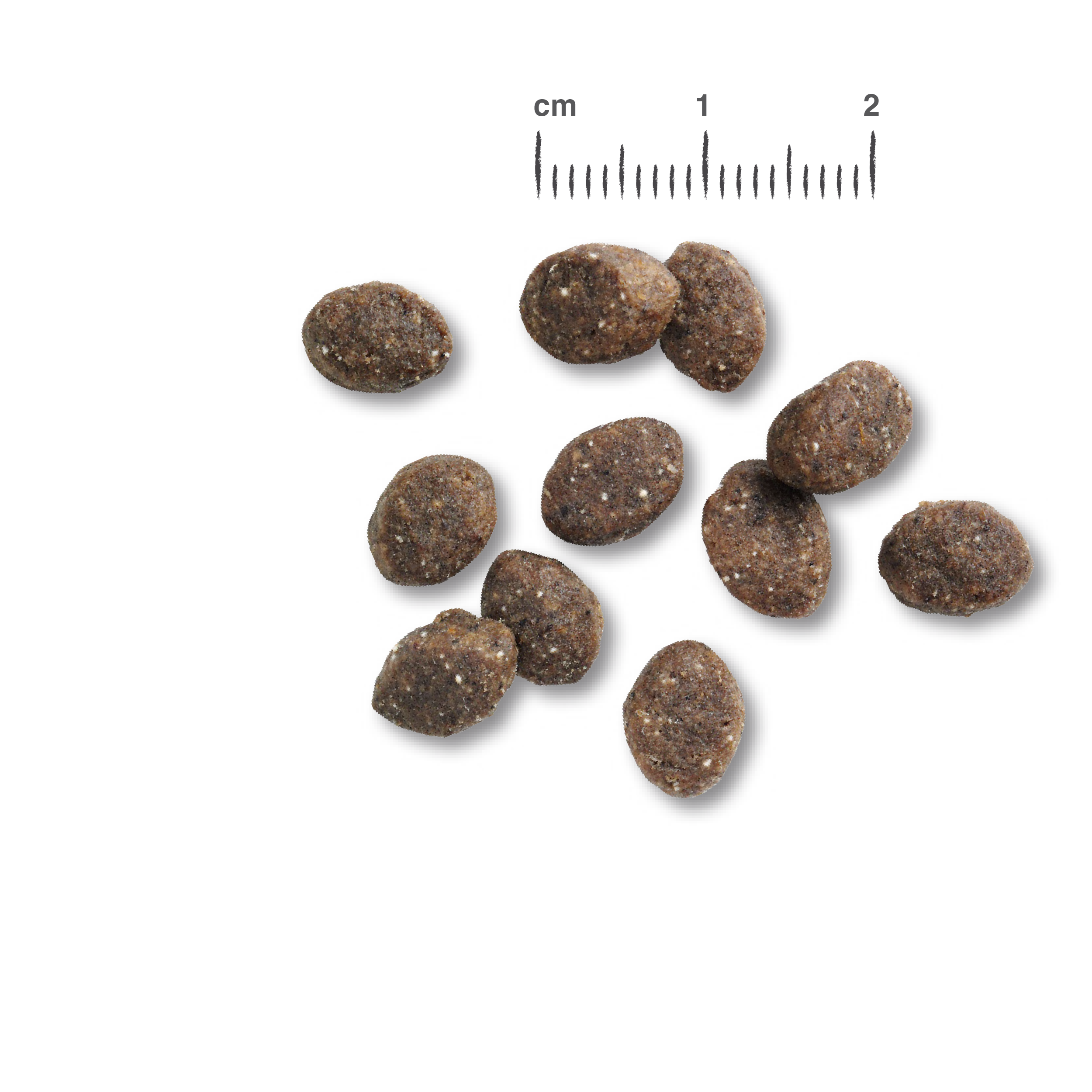 RS6152_Belcando_Kroketten_Puppy_Gravy