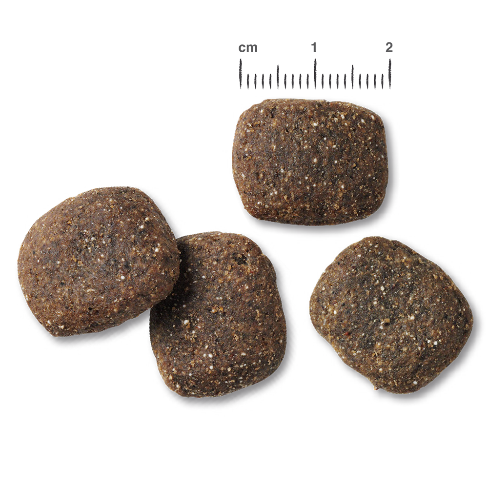 RS6141_Belcando_Kroketten_Adult_Active