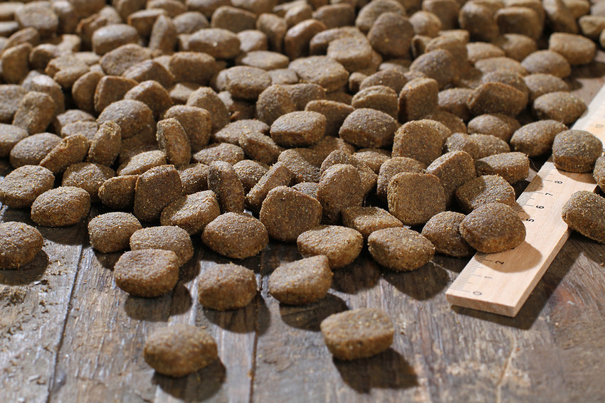 RS2913_lamb-rice_kroketten_lineal_IMG_1786b-klein-scr