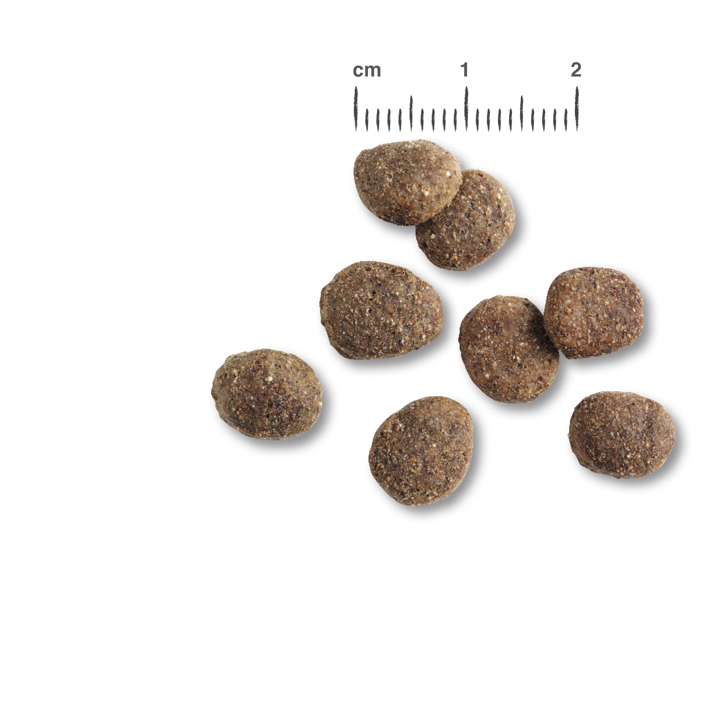 RS6138_Belcando_Kroketten_Finest_Croc