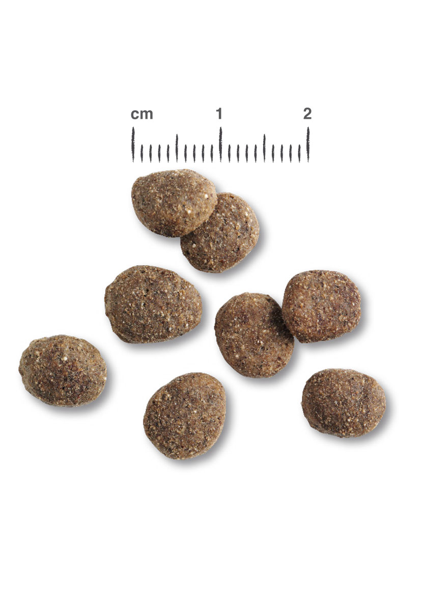 RS6135_Belcando_Kroketten_Finest_Light