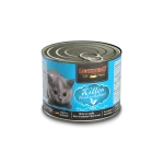 Leonardo Kitten (Canned)