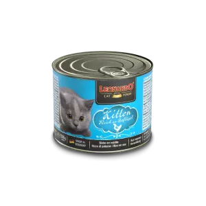 Leonardo Kitten (Canned)