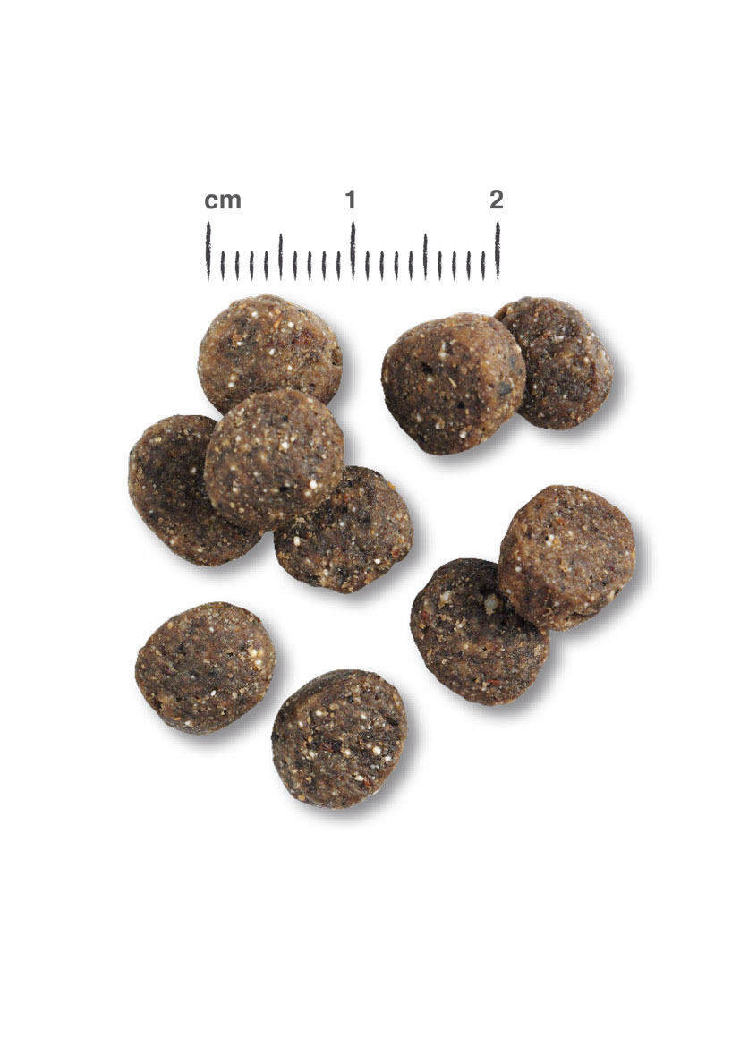 RS6137_Belcando_Kroketten_Finest_GF_Salmon