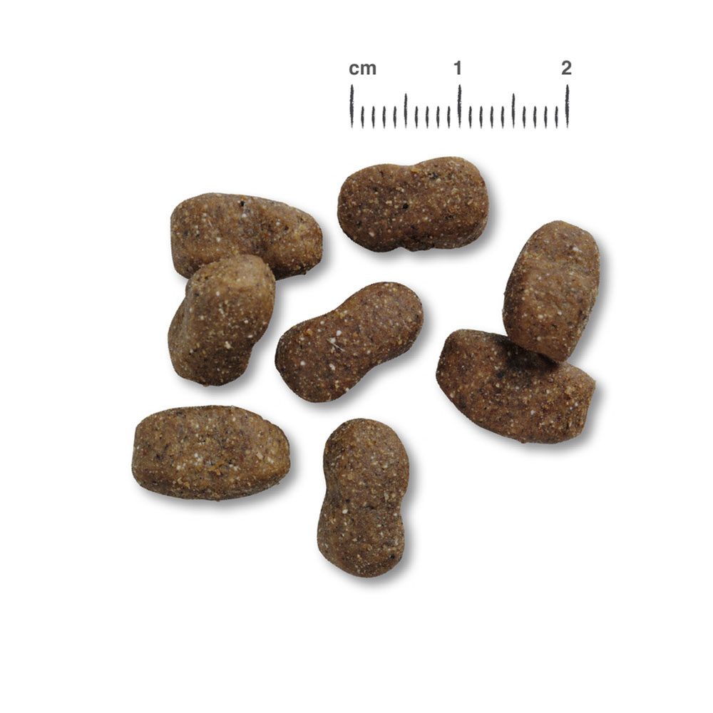 RS6980_BB-Kroketten-Adult-GF-Horse-scr