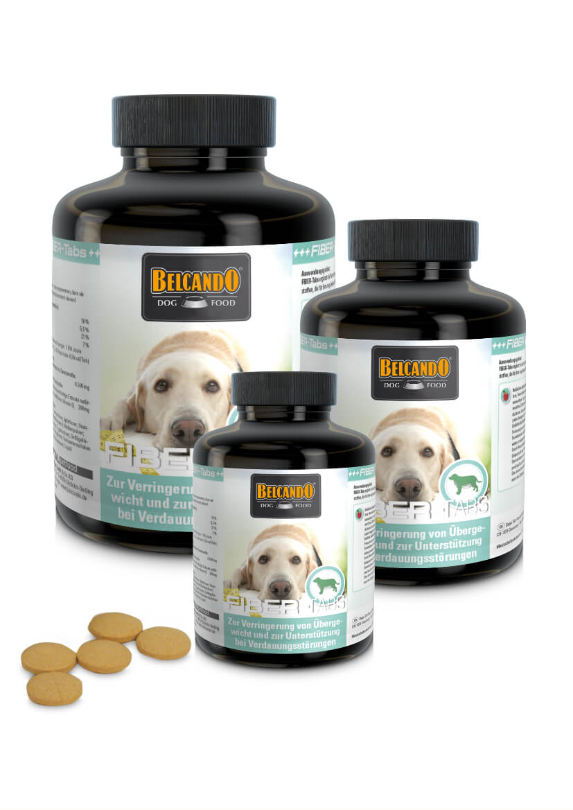 Belcando Fiber - Tabs