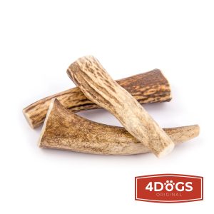 Deer Antler Chew M size